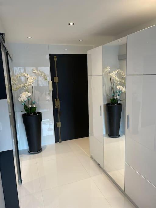 Eider Croisette Appartement